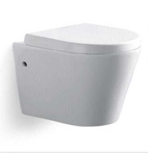 wall hung toilet